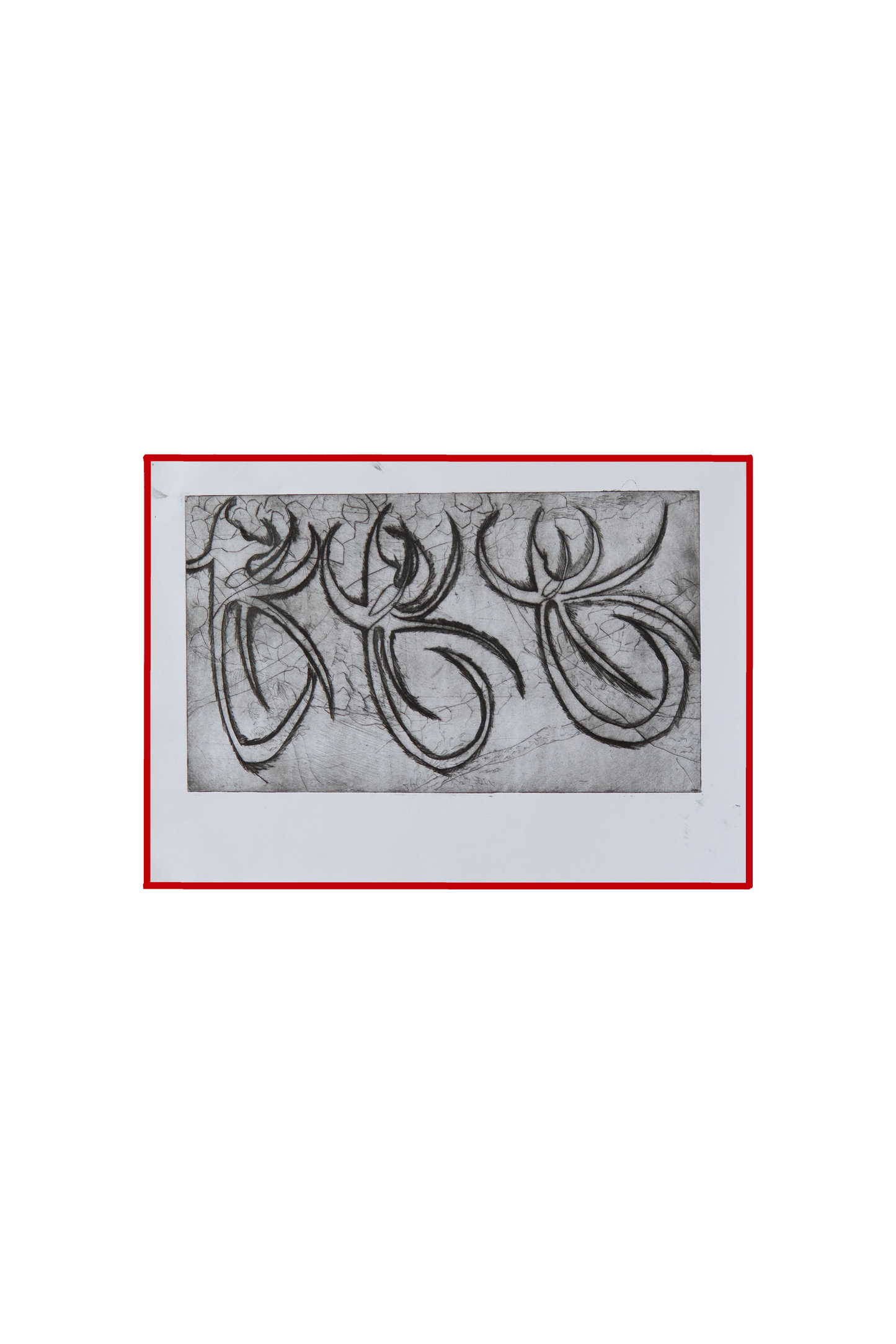 "Flowers - 4 Pieces Set / פרחים - סט 4 חלקים"