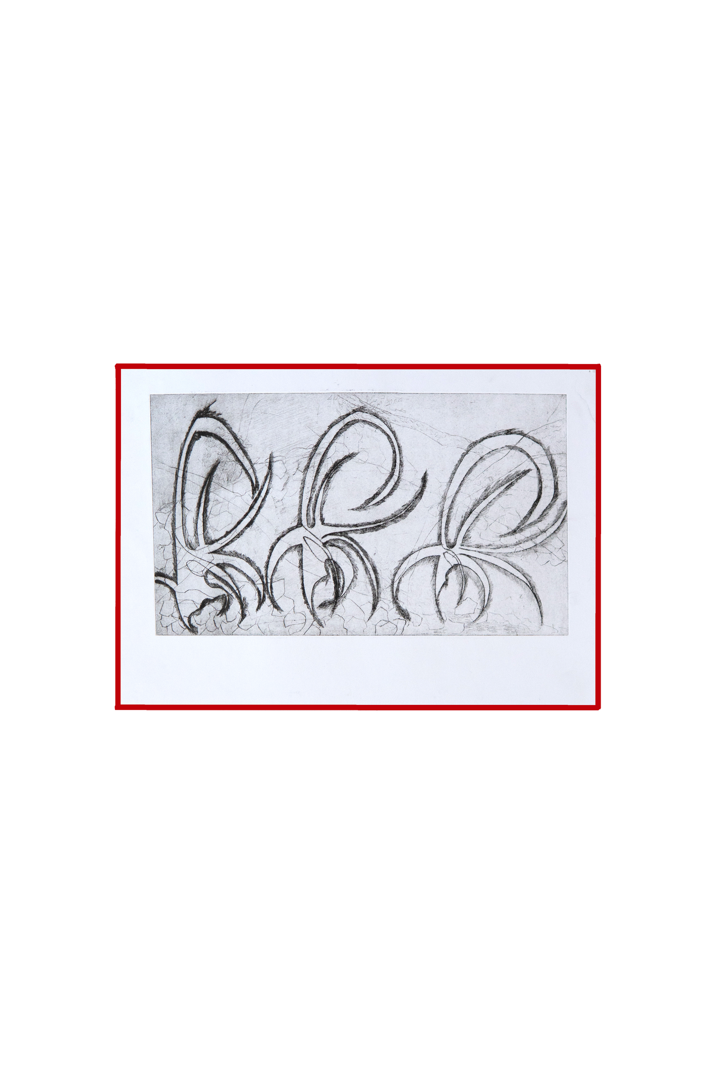 "Flowers - 4 Pieces Set / פרחים - סט 4 חלקים"
