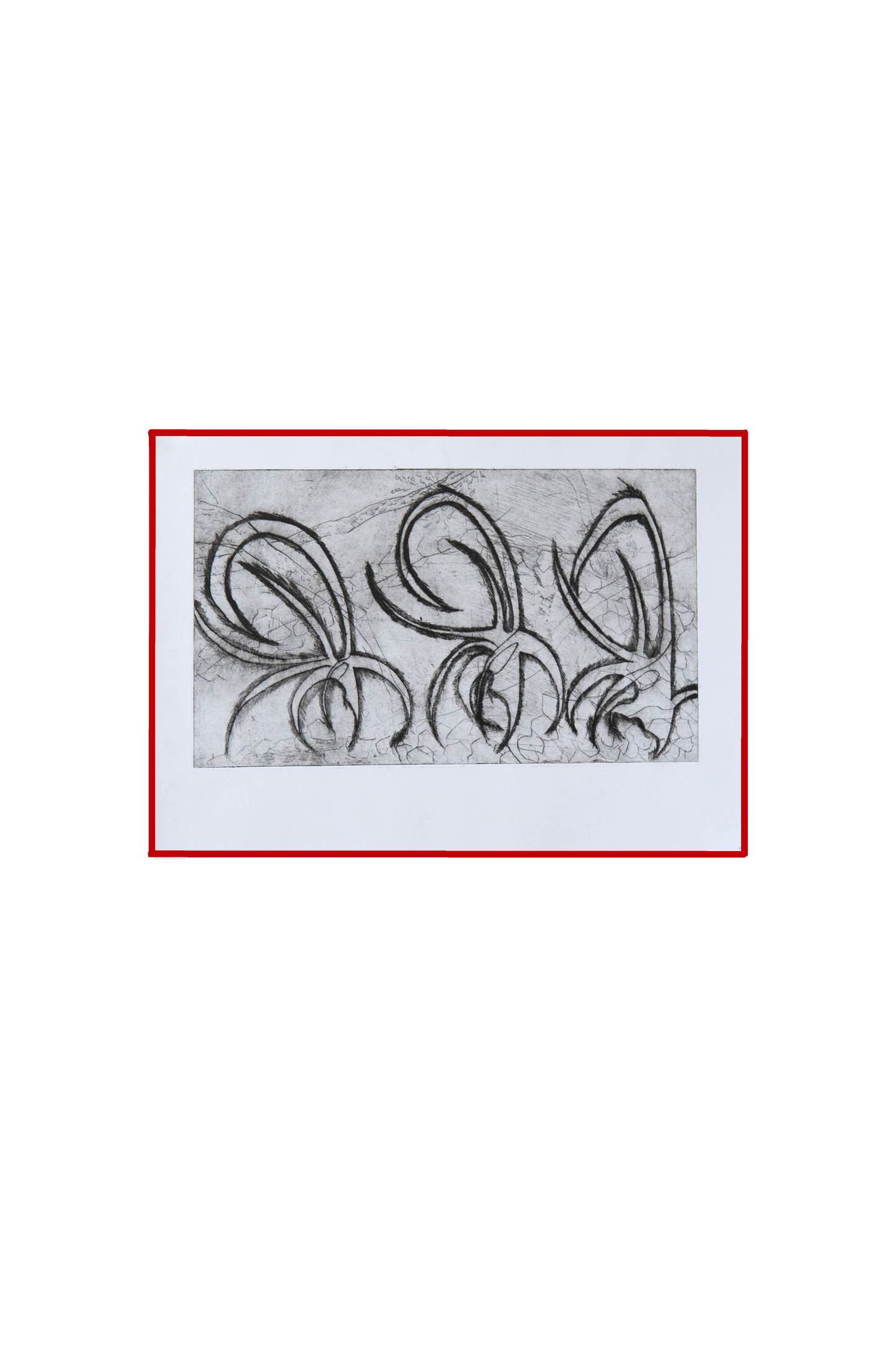 "Flowers - 4 Pieces Set / פרחים - סט 4 חלקים"