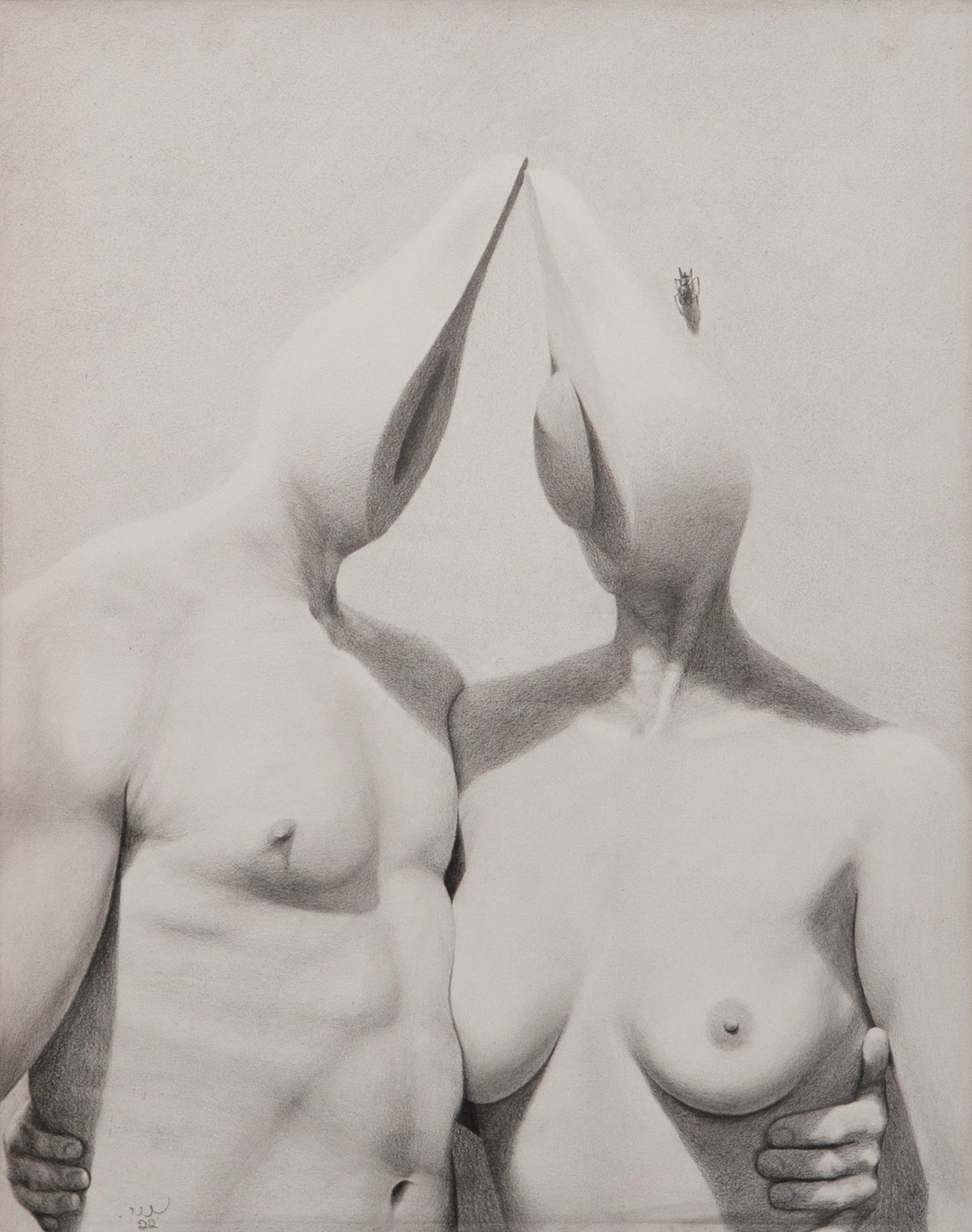 "Gender Crisis / משבר המינים"