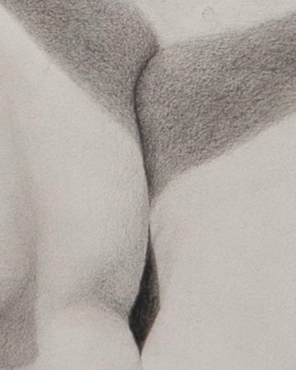 "Gender Crisis / משבר המינים"